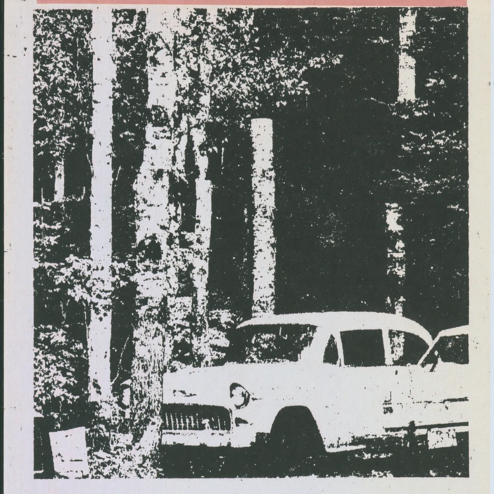 High-contrast black-and-white print of a white 1955 Chevrolet among tall dark forest trunks.