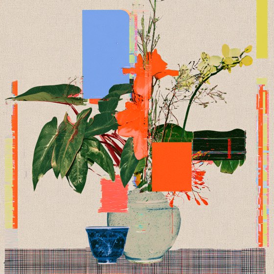Linen wall, orange philodendron and a blue-and-white bowl