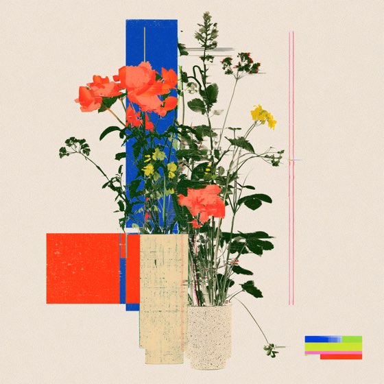 Coral roses against a cobalt bar on bone paper