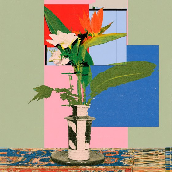 Bird of paradise on a sage wall, pink and cobalt panels behind