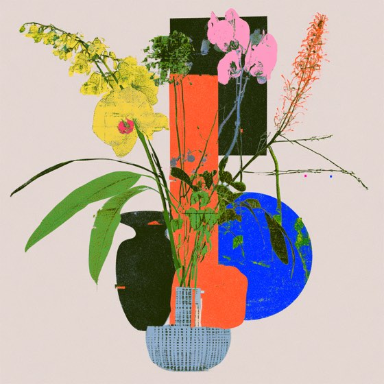 Pink ground, orchids and red-hot pokers over a black panel