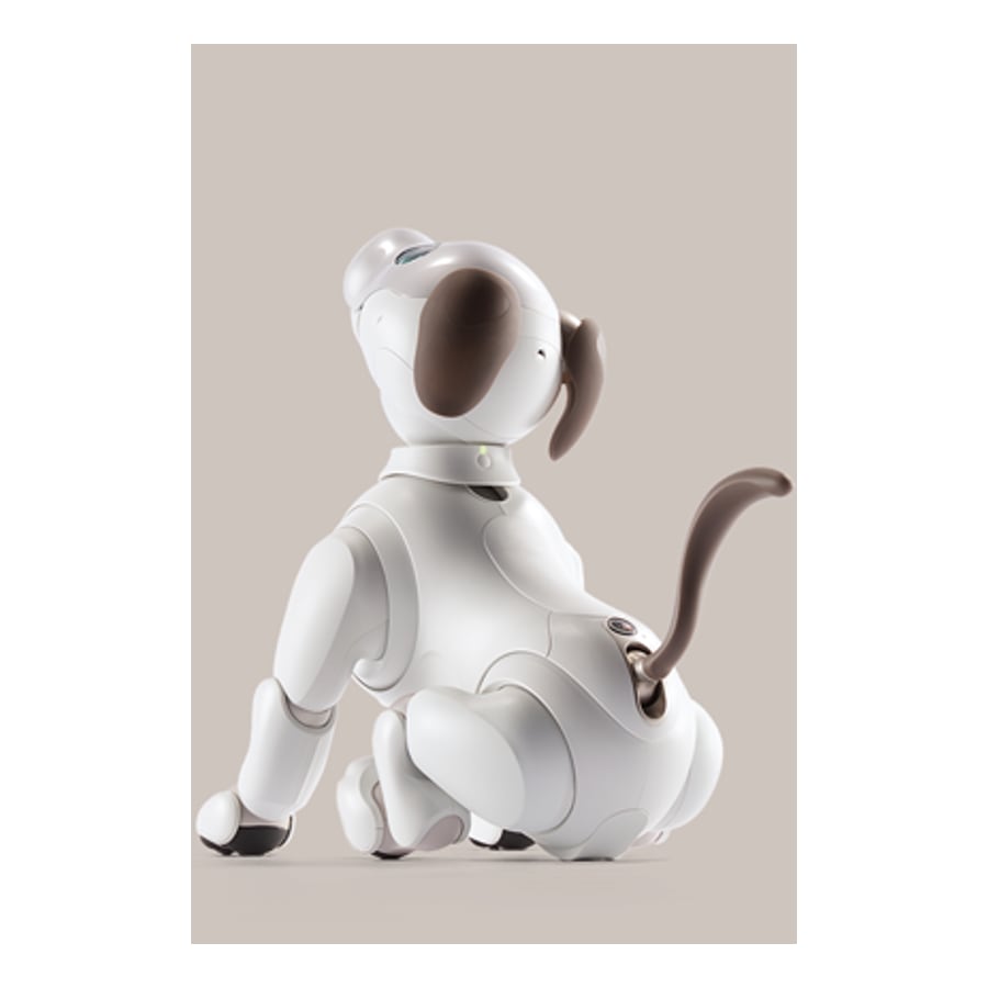 White and brown Sony aibo robot dog sitting and looking back over its shoulder, with a brown tail and ears